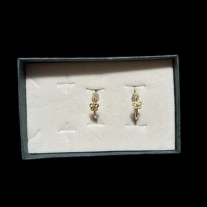 14K Gold Butterfly Hoop Earrings